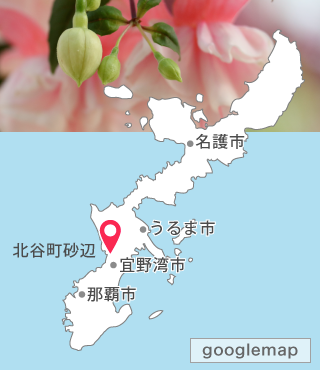 沖縄県中頭郡北谷町字宮城2-135