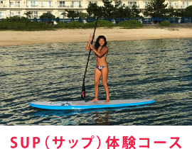 サーフポイントガイド